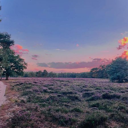 Sluwe Vos: Ontspannen In Het Bos! Otterlo Exteriér fotografie