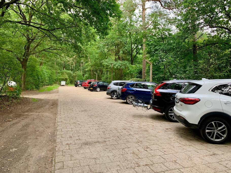 Sluwe Vos: Ontspannen In Het Bos! Otterlo Exteriér fotografie