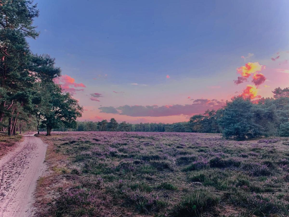 Sluwe Vos: Ontspannen In Het Bos! Otterlo Exteriér fotografie