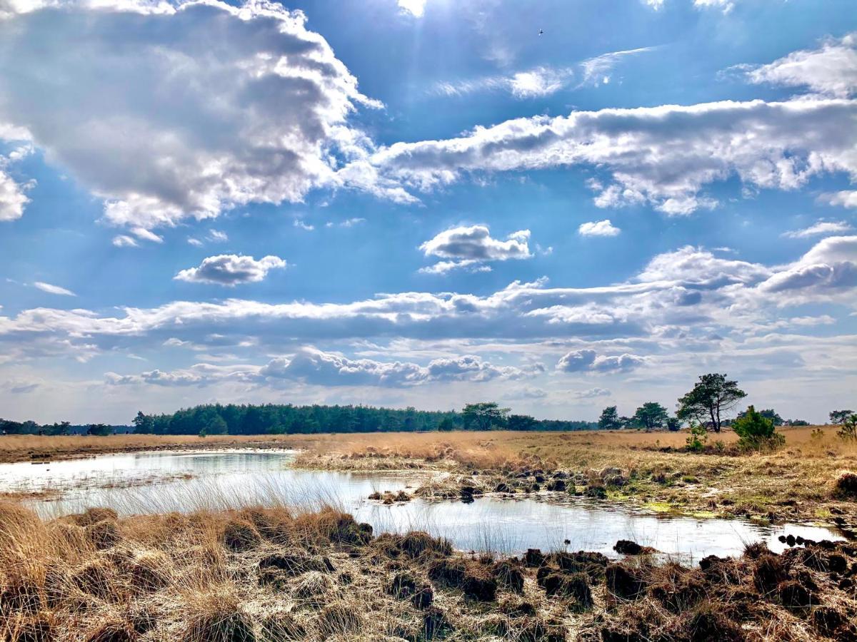 Sluwe Vos: Ontspannen In Het Bos! Otterlo Exteriér fotografie