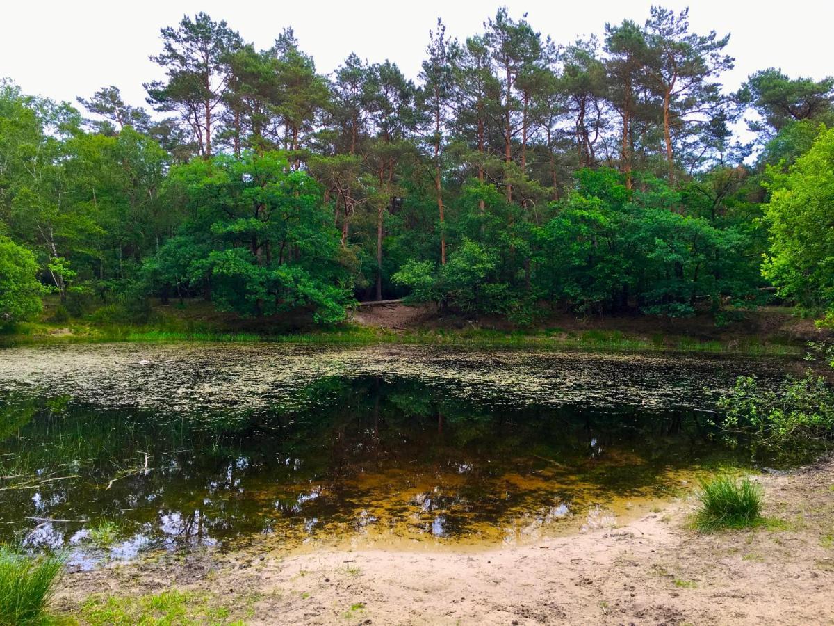 Sluwe Vos: Ontspannen In Het Bos! Otterlo Exteriér fotografie